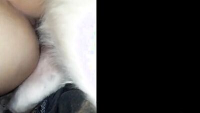 Zoo porno video: naked girls having sex with dogs