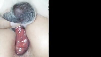 Zoo porno video: naked girls having sex with dogs