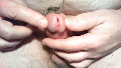Dog licking girl: hentai bestiality 34