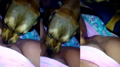 Boy girl dog: small sexy girl animal dog porno video