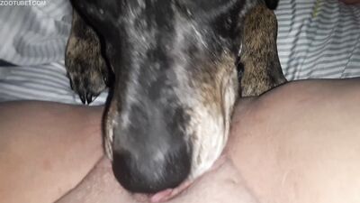 Animal cross porn: dog girl hentai manga