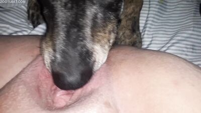Animal cross porn: dog girl hentai manga
