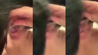 Dog porn video: zoophilia rule