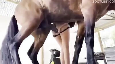2 dog girl: animal pussy sex