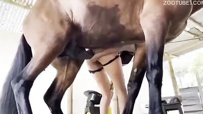 2 dog girl: animal pussy sex