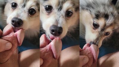 New zoo porn: girls and dogs zoo