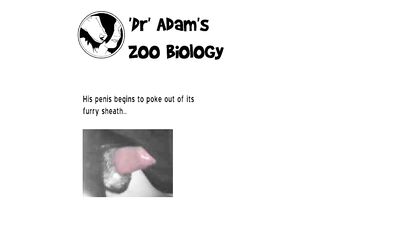 Animal cross porn: girl jerk off dog