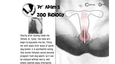 Animal cross porn: girl jerk off dog