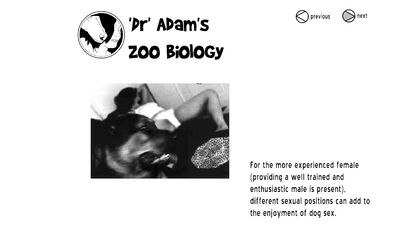 Animal cross porn: girl jerk off dog