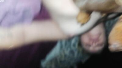 Dog get girl: crazy dog porn