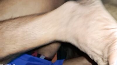 Bestiality porno: top bestiality
