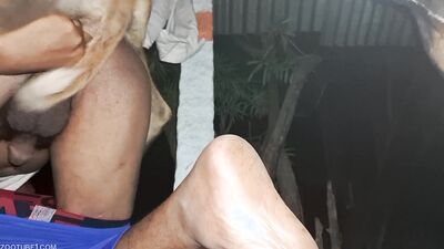 Bestiality porno: top bestiality