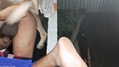 Bestiality porno: top bestiality