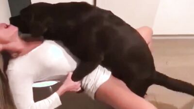 2 dog girl: zoo xxx videos