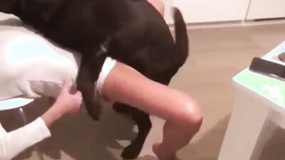 2 dog girl: zoo xxx videos