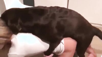 2 dog girl: zoo xxx videos