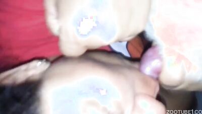 Animal sex: huge tits zoo porn