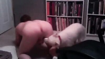 Bestiality dog: zoo porno seks video