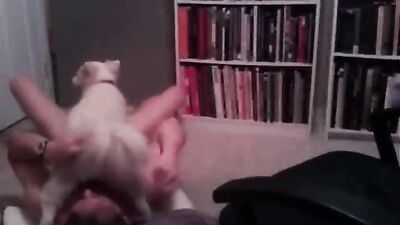 Bestiality dog: zoo porno seks video