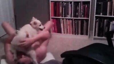 Bestiality dog: zoo porno seks video