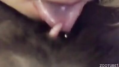 Dog teen girls: zoophilia cat
