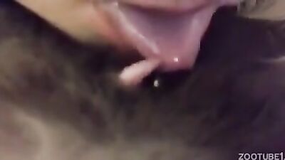 Dog teen girls: zoophilia cat