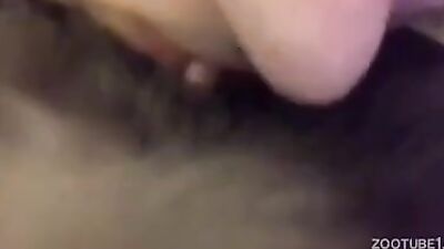 Dog teen girls: zoophilia cat