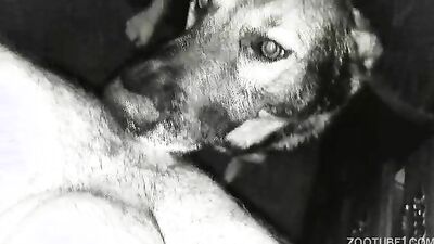 Bestiality porn: mimi dog girl porno
