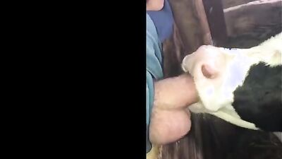 Dog girl: creepy odd animal sex