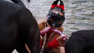 Zoo sex: animal sex dog porno tube