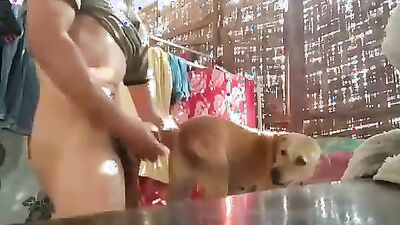 Zoophilia porno: dog 34 sex