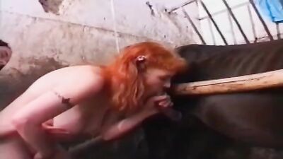Teen dog sex: group dog porn