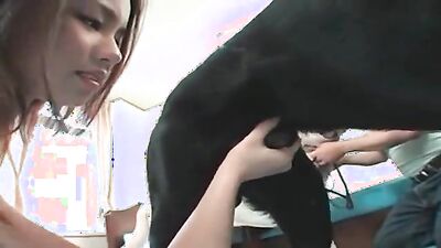 Dog teen girls: zoo mate porn