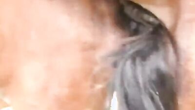 Zoo dog sex: girls horse dog