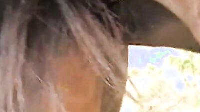 Zoo dog sex: girls horse dog