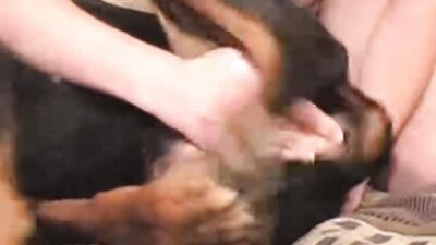 Bestiality: animal porno zoo video