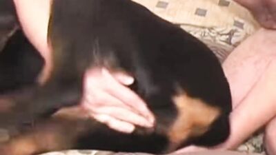 Bestiality: animal porno zoo video