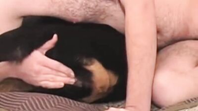 Bestiality: animal porno zoo video