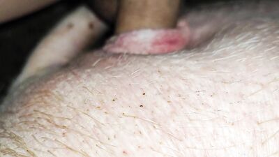 Bestiality zoo: zoo porn sperm