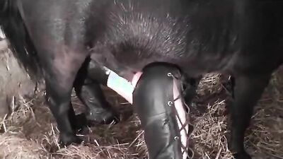 Bestiality games: porn zoo donna disco stick