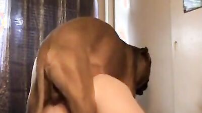 Zoo sex video: zoophilia xxx gey