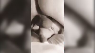 Zoo sex: bestiality 18