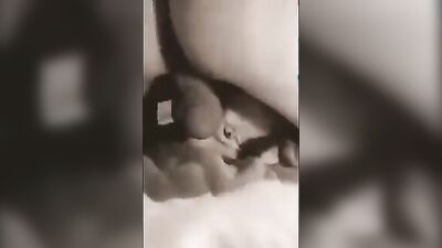 Zoo sex: bestiality 18