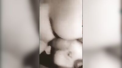 Zoo sex: bestiality 18