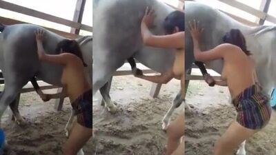 Bestiality sex id: dog humping young teen webcam sex shows