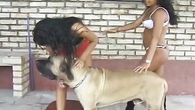Animal cross porn: selesta sex dog