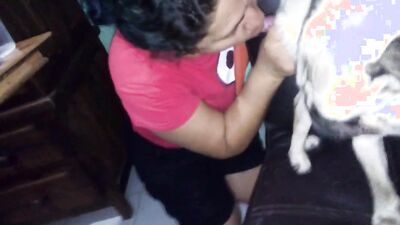 Zoo video: good dog porn