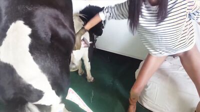 Mimi dog porn: real zoo sex
