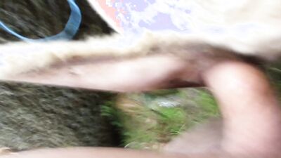 3d dog sex: dog sex home alone
