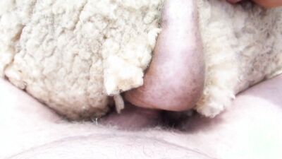 Girl dog video: sex with animal video hd